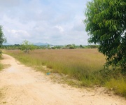 Bán 1000m2 đất gần biển tân bình, lagi có 400m2 thổ cư giá rẻ