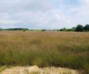 1 Bán 1000m2 đất gần biển tân bình, lagi có 400m2 thổ cư giá rẻ 1 Bán 1000m2 đất gần biển tân bình, lagi có 400m2 thổ cư giá rẻ