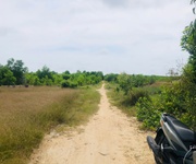 2 Bán 1000m2 đất gần biển tân bình, lagi có 400m2 thổ cư giá rẻ 2 Bán 1000m2 đất gần biển tân bình, lagi có 400m2 thổ cư giá rẻ