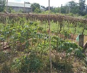 Đất chính chủ - mặt tiền ấp rừng dầu, xã mỹ hạnh bắc, huyện đức hòa, long an