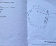 Bán đất sản xuất   TÂN PHƯỚC, ĐỒNG PHÚ, BP   16.954m