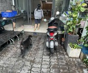 154m  - chỉ 22.9 tỷ‼mặt tiền nguyễn văn đậu-bình thạnh -phong cách xây dựng hiện đại - 2 tầng