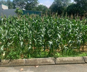 2 Sở hữu ngay lô đất đẹp - giá tốt - vị trí đắc địa tại đội 3, xã tân xã, huyện thạch thất, tphn 2 Sở hữu ngay lô đất đẹp - giá tốt - vị trí đắc địa tại đội 3, xã tân xã, huyện thạch thất, tphn