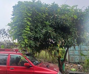 2 Sở hữu ngay lô đất đẹp - giá tốt - vị trí đắc địa tại khu tái định cư thôn tân nam, xã mỹ đức,