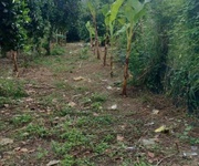 Chính chủ cần bán đất xã thanh bình   huyện hớn quản, bình phước