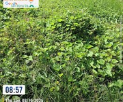 Chính chủ cần bán 2 lô đất  tại phường 1   2, thị xã vĩnh châu, sóc trăng