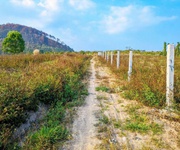 Tổng 7 sào đất mặt nhựa vào kdl thác pongour, đức trọng, lâm đồng