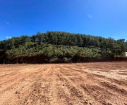 Hot     sở hữu ngay 3 lô đất đẹp sát nhau - giá tốt - vị trí đắc địa tại langbiang