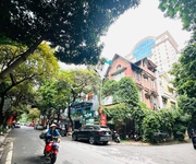 Nhà đẹp chính chủ - giá tốt - vị trí đẹp tại nguyễn cơ thạch  kđt mỹ đình , nam từ liêm