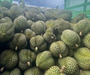 2 Bán sầu riêng toàn quốc ship tận nơi