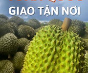 3 Bán sầu riêng toàn quốc ship tận nơi