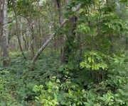 chuyển nhượng 160 hecta đất dự án   hàm tân, bình thuận