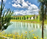 Bán Đất Nền Khu Nghỉ Dưỡng Gần Hồ Tâm Châu - Giá 650 Triệu