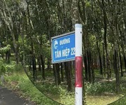 1 Bán Gấp Lô Góc 2 Mặt Tiền Đường Tân Hiệp 22, Xã Phước Thành, Tp.Hcm 1 Bán Gấp Lô Góc 2 Mặt Tiền Đường Tân Hiệp 22, Xã Phước Thành, Tp.Hcm