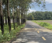 2 Bán Gấp Lô Góc 2 Mặt Tiền Đường Tân Hiệp 22, Xã Phước Thành, Tp.Hcm 2 Bán Gấp Lô Góc 2 Mặt Tiền Đường Tân Hiệp 22, Xã Phước Thành, Tp.Hcm