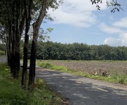 3 Bán Gấp Lô Góc 2 Mặt Tiền Đường Tân Hiệp 22, Xã Phước Thành, Tp.Hcm 3 Bán Gấp Lô Góc 2 Mặt Tiền Đường Tân Hiệp 22, Xã Phước Thành, Tp.Hcm