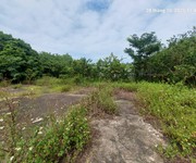 Đất ruộng nam hồng. 2800m2, mt 30m, xe container, 3.1 tỷ. đông anh.