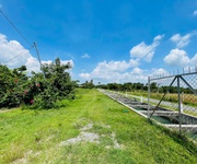 Chính Chủ Gửi Bán Nhà Vườn Xã Thái Mỹ Mới   Trung Lập Thượng Cũ