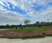 Khu dân cư Dạ Lê chỉ còn 5 lô duy nhất 101m2, giá chỉ 626 triệu/lô