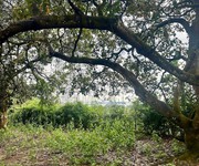 6 Mảnh vườn view Hồ Trị An - Gần sân bay Long Thành - Giá bán chưa đến 1 tỷ