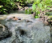 Mảnh vườn view Hồ Trị An - Gần sân bay Long Thành - Giá bán chưa đến 1 tỷ