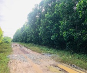 Bán 2.5 sào đất 2 mặt đường số 8 - tân hà - hàm tân giá mềm 36tr/m ngang