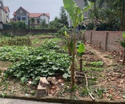 Bán lô đất đẹp   thôn đan thượng, xã tân phú  cũ    nay là xã vĩnh thành, phú thọ