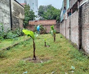 Bán đất chính chủ tại mê linh, hn