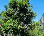 2  lô đất kiệt nguyễn như đãi   100m    chỉ 1,79 tỷ