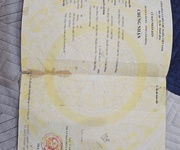 Dòng bán đất...lâm đồng