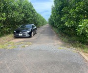 Chính chủ cần bán gấp 2 lô đất siêu đẹp sân bay Long Thành - Đồng Nai