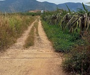 Bán 15ha đất ở dân thuận, xã hàm thạnh, huyện hàm thuận nam, tỉnh bình thuận