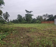 Chủ Cần Tiền Bán Gấp   Đất 1.590m , Full Thổ, Cách QL1A 200m - Giá còn thương lượng