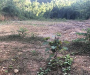 Siêu phẩm đất thổ cư tại trại lốt   tam tiến, yên thế, bắc giang