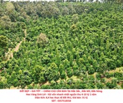 Đất đẹp   giá tốt    chính chủ cần bán lô đất tại đắk sắk , đắk mil, đắk nông