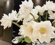 4 Linhhk cho thuê sàn văn phòng cao cấp tại 41a lý thái tổ chuẩn mực dành cho doanh nghiệp dẫn đầu 4 Linhhk cho thuê sàn văn phòng cao cấp tại 41a lý thái tổ chuẩn mực dành cho doanh nghiệp dẫn đầu