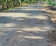 Bán nhà 1 sào 5   mặt nhựa sóc bưng, thanh phú, tx bình long - bình phước