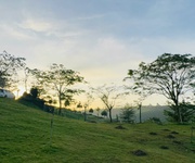 3 Sở Hữu Nhanh Lô Đất Nghỉ Dưỡng Bảo Lộc Giá Từ 1 Tỷ 2