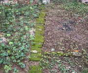 Bán đất mặt phố phương canh - phường xuân phương, 106m2