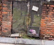 Giá đầu tư- bán đất mai lâm- oto tránh- kinh doanh sầm uấthàng xóm vin cổ loa- 70m nhỉnh 7 tỷ  tl