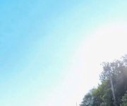 Đất đẹp cần bán   xã tân phước, đồng phú, bình phước giá chỉ 9 tỷ/ha