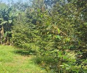 Lô đất đẹp- giá tốt chính chủ cần bán nhanh lô đất tiềm năng tại huyện lộc ninh tỉnh bình phước