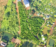 1 Bán nhà gỗ nghỉ dưỡng   đường 21 lộc tân, giáp kiwiki   phường 2, tp. bảo lộc