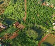 Bán nhà gỗ nghỉ dưỡng   đường 21 lộc tân, giáp kiwiki   phường 2, tp. bảo lộc