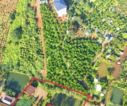 2 Bán nhà gỗ nghỉ dưỡng   đường 21 lộc tân, giáp kiwiki   phường 2, tp. bảo lộc