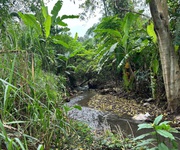 Bán nhanh đất nền 525m2 có hơn 200m2 thổ cư giáp suối lớn tại Cẩm Mỹ.