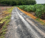 Sở hữu ngay lô đất đẹp diện tích 1000m2