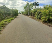 Bông trang 20m mt nhựa 100tc giá 130tr/ m tl