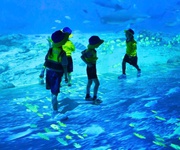 Bán Khu Du Lịch Thế Giới Mèo Ú 1ha7 doanh thu 500tr/th