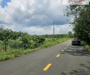 3 Bán 2 lô đất quy hoạch SKC   LONG TÂN, DẦU TIẾNG, BD